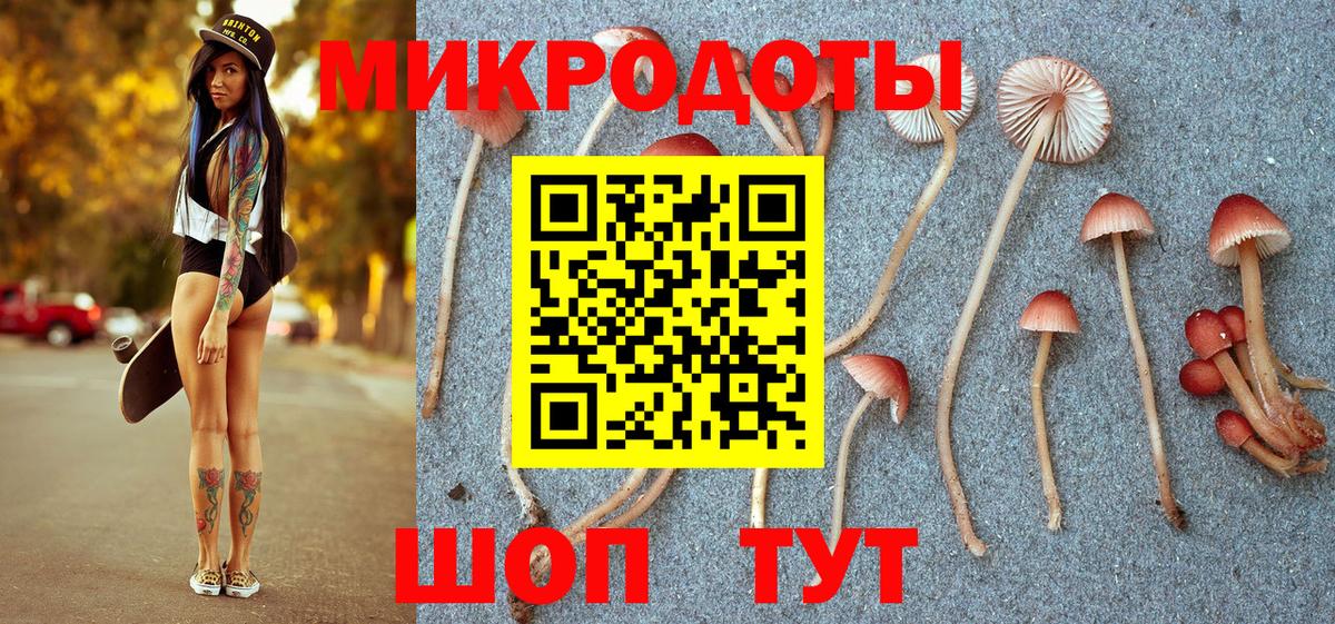 Галлюциногенные грибы ЛСД  Псилоцибиновые грибы Psilocybe  Дальнереченск  Вход с VPN 